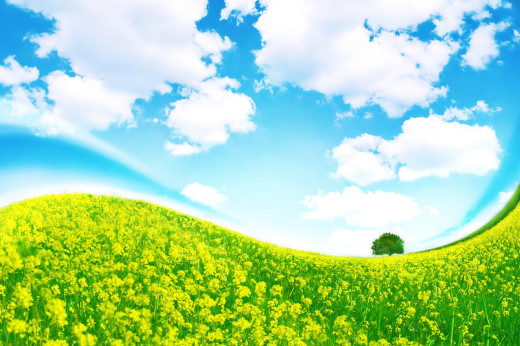 930895 (a): :3000x1996